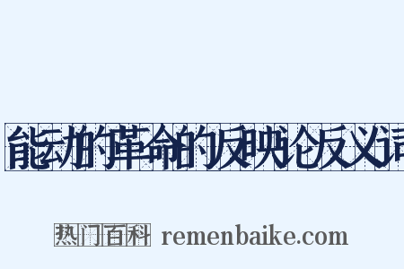 能动的革命的反映论反义词是什么意思的图片